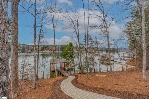 View/Area - 462 Peninsula Rdg, Sunset, SC 29685 photo 1 of 3