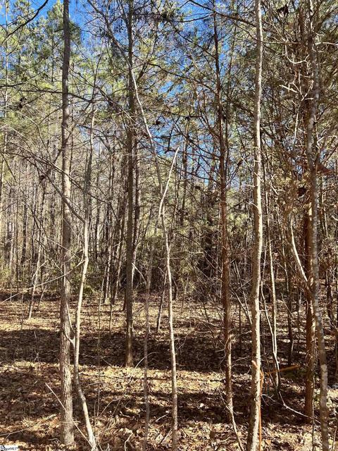 Robinson Road, Belton, SC 29627