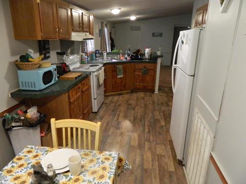 4 Mckittrick Dr, Pelzer, SC 29669 photo 8
