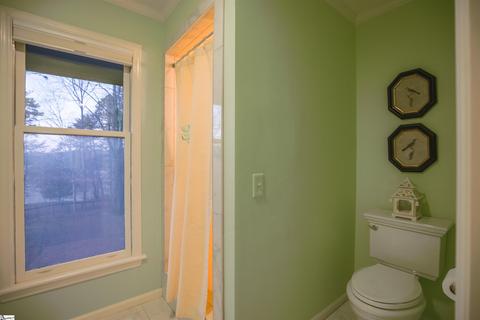 205 Hooper Creek Rd, Tryon, NC 28782 photo 29