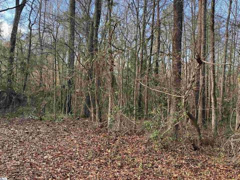 00 Leila St, Clinton, SC 29325