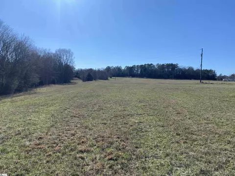S 221 Highway, Waterloo, SC 29384 photo 3