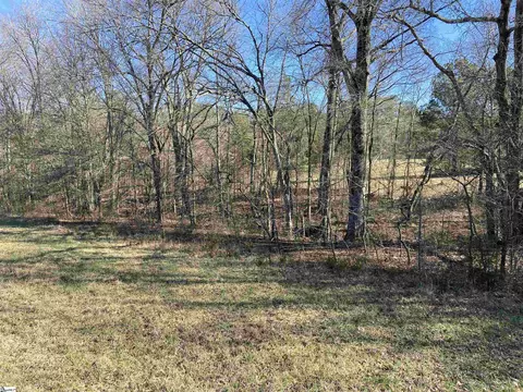 S 221 Highway, Waterloo, SC 29384 photo 4