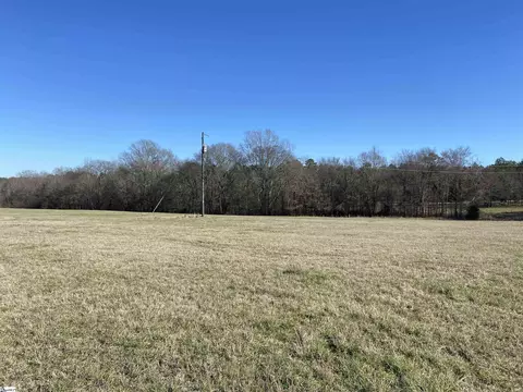 S 221 Highway, Waterloo, SC 29384 photo 12