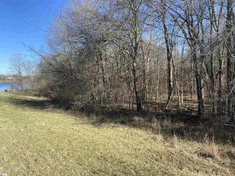 S 221 Highway, Waterloo, SC 29384 photo 5