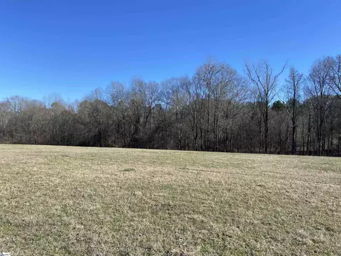 S 221 Highway, Waterloo, SC 29384 photo 11
