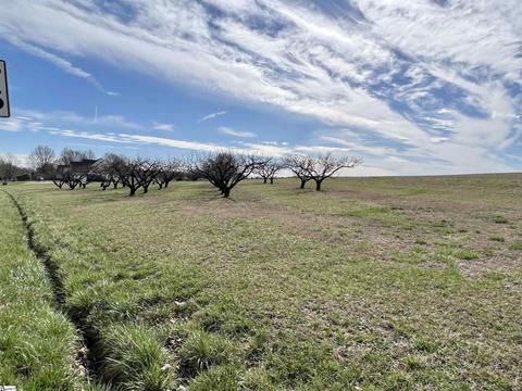 00 Goodjoin Rd, Campobello, SC 29322