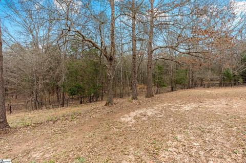 3860 Durham Rd, Greer, SC 29651 photo 27