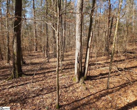 Cressy Bridge Road, Waterloo, SC 29384 photo 7