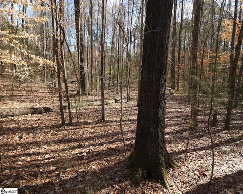 Cressy Bridge Road, Waterloo, SC 29384 photo 11