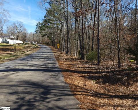 Cressy Bridge Road, Waterloo, SC 29384 photo 14