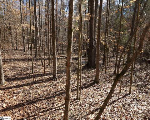 Cressy Bridge Road, Waterloo, SC 29384 photo 8