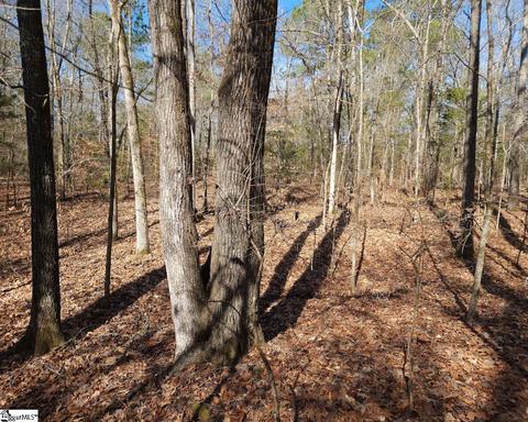 Cressy Bridge Road, Waterloo, SC 29384 photo 10