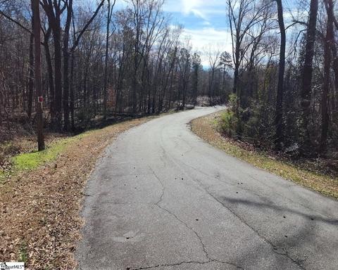 Cressy Bridge Road, Waterloo, SC 29384 photo 2