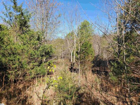 00 Jewell Rd, Easley, SC 29642