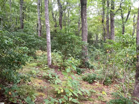 401 Panther Mountain Rd, Zirconia, NC 28790