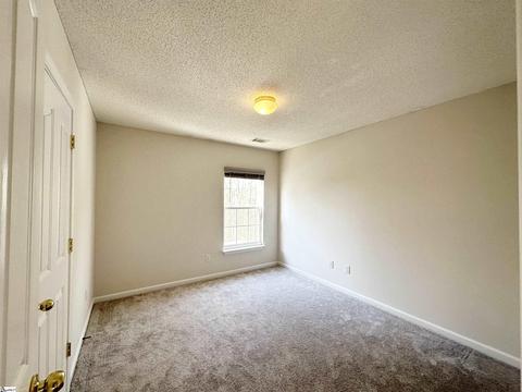409 Riello Dr, Greer, SC 29650 photo 14