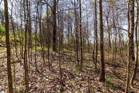 2204 Old Pendleton Rd, Easley, SC 29642 photo 8