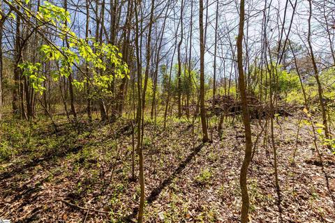2204 Old Pendleton Rd, Easley, SC 29642 photo 9