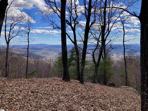 1006 Mountain Summit Rd, Travelers Rest, SC 29690