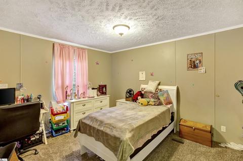 616 Anderson Rd, Pendleton, SC 29670 photo 25