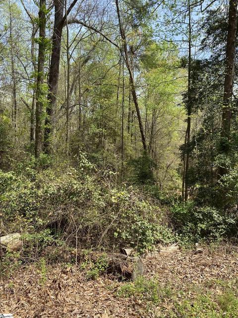 200 Pocahatchie Lot 11 Trl #LOT 11, Greenville, SC 29611