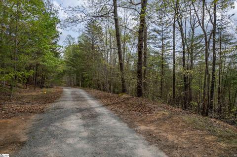 00 Caledonia St, Landrum, SC 29356