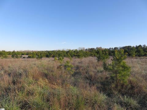 00 Price House Lot 1 Rd #LOT 1, Woodruff, SC 29388