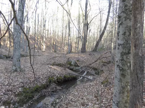 00 Price House Rd #LOT 2, Woodruff, SC 29388