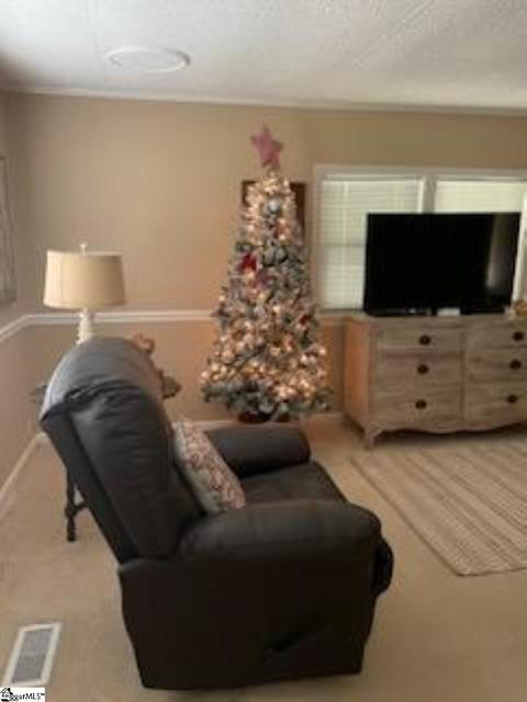 166 Slickum Rd, Easley, SC 29640 photo 5