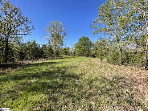0 Carlisle Whitmire Hwy, Whitmire, SC 29178