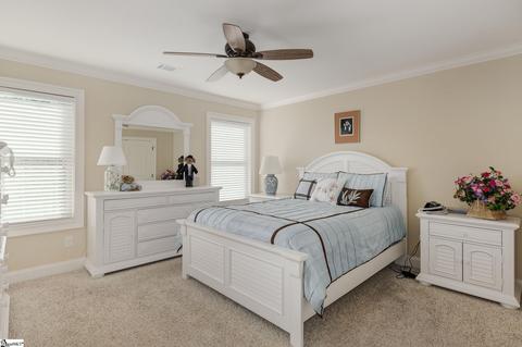 224 Bent Hook Way, Greer, SC 29651 photo 18