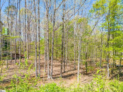 502 Forever Ln, Piedmont, SC 29673