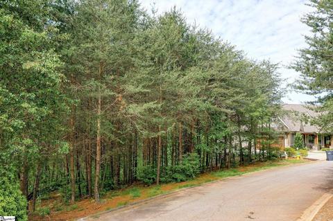 649 Forrest Haven Ct, Greenville, SC 29609