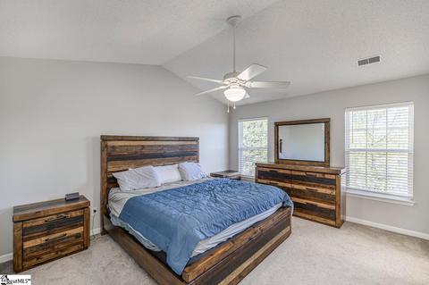 4 Fritzsimons Ct, Greer, SC 29651 photo 16