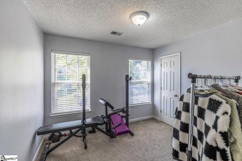 4 Fritzsimons Ct, Greer, SC 29651 photo 17