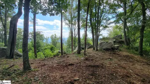 12 Drift Away Ln, Landrum, SC 29356