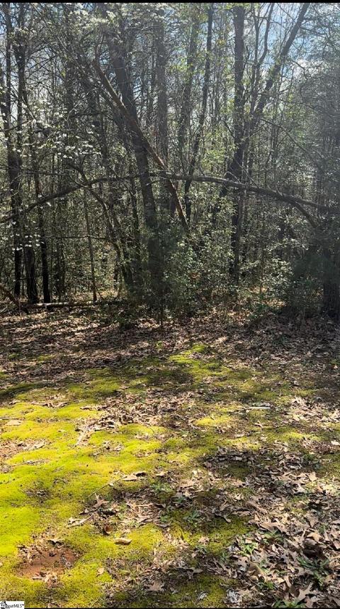 191 George Valley Ln, Moore, SC 29369 photo 8