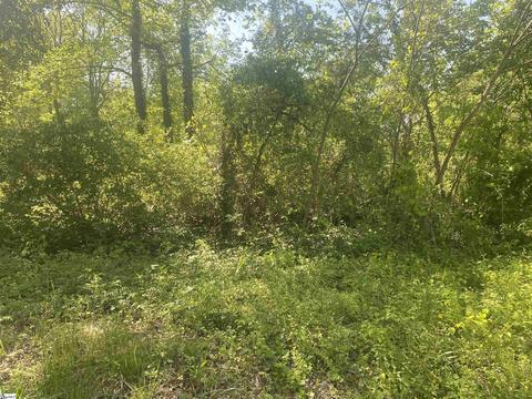 Cherokee Drive, Greenville, SC 29605