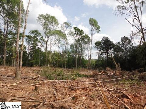 00 Gillispie Dr, Easley, SC 29640 photo 3