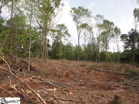 00 Gillispie Dr, Easley, SC 29640 photo 2