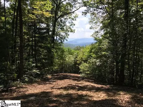 1335 Panther Park Trl, Travelers Rest, SC 29690