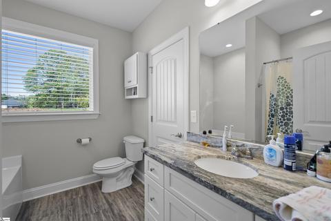 14 Panorama Cir, Greer, SC 29651 photo 17