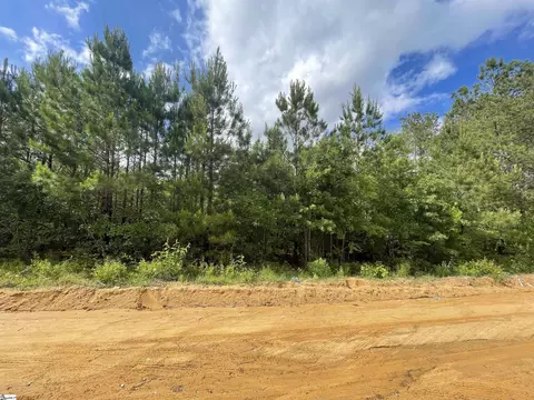 253 Lila D Ln, Bishopville, SC 29020