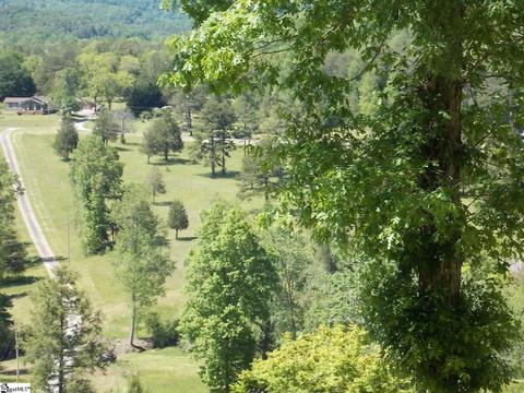 603 E Preston Mcdaniel Rd, Pickens, SC 29671 photo 11