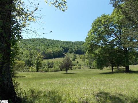 603 E Preston Mcdaniel Rd, Pickens, SC 29671 photo 6