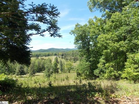 603 E Preston Mcdaniel Rd, Pickens, SC 29671 photo 9