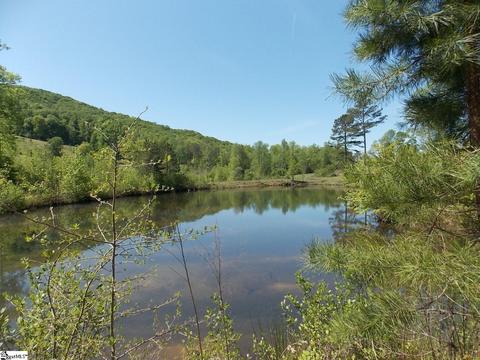 603 E Preston Mcdaniel Rd, Pickens, SC 29671 photo 4