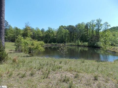 603 E Preston Mcdaniel Rd, Pickens, SC 29671 photo 8