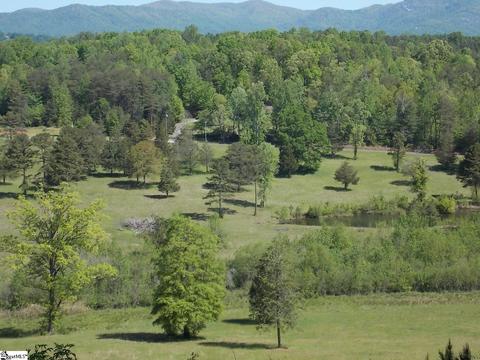 603 E Preston Mcdaniel Rd, Pickens, SC 29671 photo 2